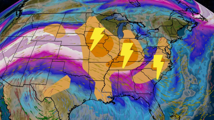 Moose Swims in Glacier National Park Videos from The Weather Channel